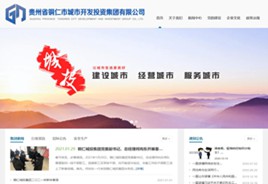 万州城市开发投资集团有限公司