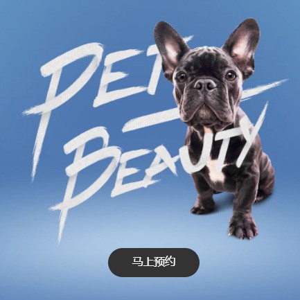 万州宠物中心小程序开发