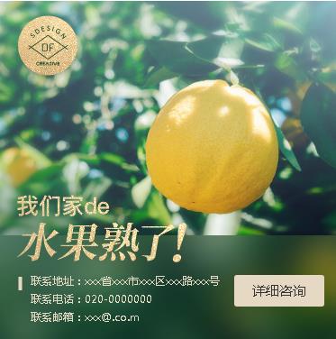 万州果园果林小程序开发